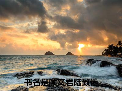 顾文君陆致远免费阅读（顾文君陆致远）全文免费阅读无弹窗大结局_顾文君陆致远免费阅读最新章节列表_笔趣阁（顾文君陆致远）