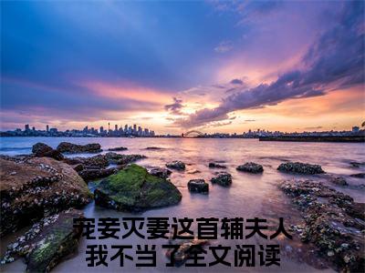 宠妾灭妻这首辅夫人我不当了（苏青玉云奕霄）全文阅读-2023最火热点小说宠妾灭妻这首辅夫人我不当了最新更新