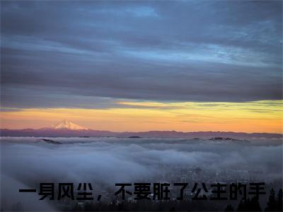 一身风尘，不要脏了公主的手（赵云霓江墨尘）全文免费阅读无弹窗-赵云霓江墨尘完整版全文在线赏析