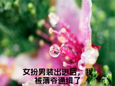 游离薄夜（女扮男装出逃后，我被薄爷通缉了小说）全文免费阅读无弹窗大结局_游离薄夜完整版小说阅读（女扮男装出逃后，我被薄爷通缉了小说）