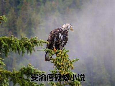 安渝傅砚修（安渝傅砚修）全文免费阅读无弹窗大结局-安渝傅砚修免费阅读全文大结局-笔趣阁