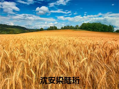 沈安染陆珩是什么小说-（沈安染陆珩）小说全文阅读