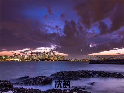 沈鹤小说全文（在平行世界变身申鹤）精选知乎免费小说_沈鹤小说全文最新章节列表