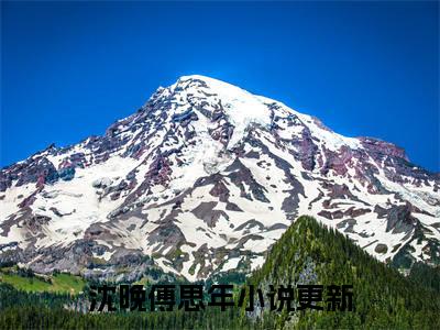 沈晚傅思年（沈晚傅思年）完整版小说阅读_沈晚傅思年全文免费阅读最新章节列表_笔趣阁