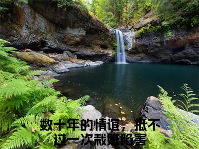 余青瑭陈逾征全文免费阅读大结局_余青瑭陈逾征（数十年的情谊，抵不过一次栽赃陷害）完整版在线赏析