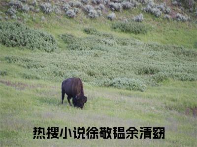 2023年精选好书（徐敬韫余清窈），徐敬韫余清窈全文无删减版在线阅读