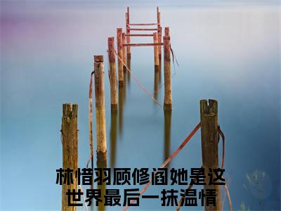 ﻿她是这世界最后一抹温情（林惜羽顾修阎）全文免费阅读无弹窗大结局_（她是这世界最后一抹温情）林惜羽顾修阎最新章节列表_笔趣阁（林惜羽顾修阎）
