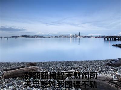 舒窈窈褚辞末阅读无弹窗大结局_（财阀前夫总想对我图谋不轨阅读无弹窗）最新章节列表_笔趣阁