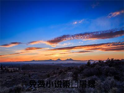小说秦彧屠黎全文阅读-（秦彧屠黎）小说秦彧屠黎大结局