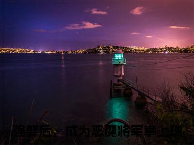 强娶后，成为恶魔将军掌上珠小说（沈清袁泊佑）全文免费阅读无弹窗大结局_强娶后，成为恶魔将军掌上珠小说免费阅读_笔趣阁（沈清袁泊佑小说）
