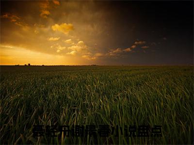 聂轻舟谢景春小说最新章节阅读-小说（聂轻舟谢景春）已完结小说精彩大结局