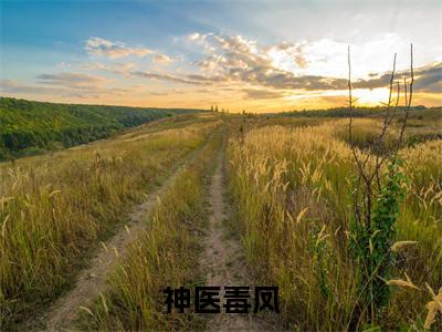 神医毒凤全文免费阅读-全网首发小说沈墨染萧夜白