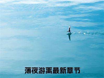 薄夜游离小说全文（薄夜游离）全文免费阅读无弹窗大结局_薄夜游离小说免费最新章节列表_笔趣阁（薄夜游离）