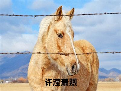 许滢萧煦(他的小乖乖会投怀送抱)全文免费阅读无弹窗大结局_(许滢萧煦全文阅读)他的小乖乖会投怀送抱无弹窗最新章节列表_笔趣阁他的小乖乖会投怀送抱