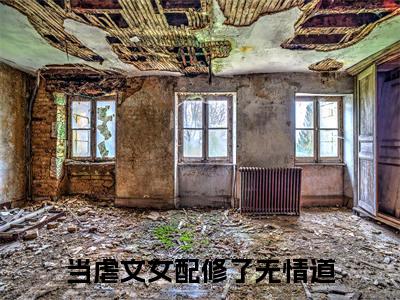 当虐文女配修了无情道小说(宋意)全文免费阅读无弹窗大结局_(当虐文女配修了无情道小说免费阅读)宋意无弹窗最新章节列表_笔趣阁（宋意）