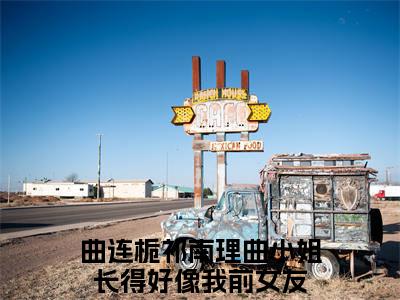 曲连栀祁南理全文免费阅读大结局_曲连栀祁南理（曲小姐长得好像我前女友）完整版在线赏析