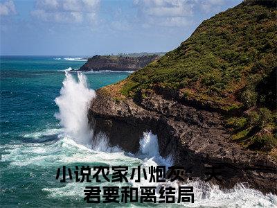 农家小炮灰：夫君要和离（许静）全文免费阅读无弹窗大结局_农家小炮灰：夫君要和离_笔趣阁