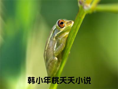 韩小年桃夭夭(韩小年桃夭夭)在线阅读无弹窗大结局-韩小年桃夭夭小说最新章节阅读_笔趣阁（韩小年桃夭夭）