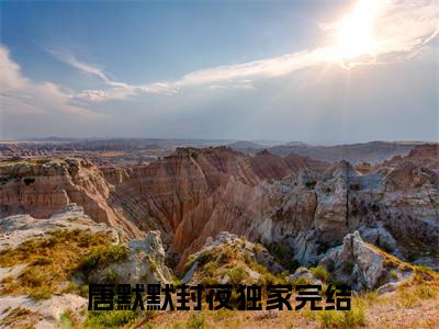 唐默默封夜全文免费阅读（唐默默封夜）全文免费阅读大结局_唐默默封夜全文免费阅读无弹窗_笔趣阁