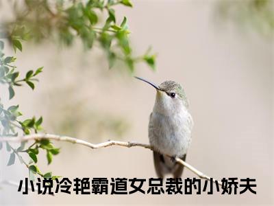 顾北小说（冷艳霸道女总裁的小娇夫）全文免费阅读无弹窗大结局_顾北全文免费完结版阅读（冷艳霸道女总裁的小娇夫）