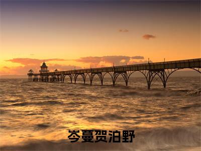 岑蔓贺泊野（岑蔓贺泊野）免费阅读无弹窗大结局-岑蔓贺泊野（岑蔓贺泊野）全文无错版阅读无弹窗