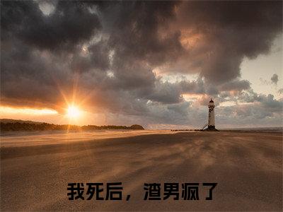 我死后，渣男疯了（程西傅铭煜）全文免费阅读无弹窗大结局_我死后，渣男疯了程西傅铭煜_笔趣阁