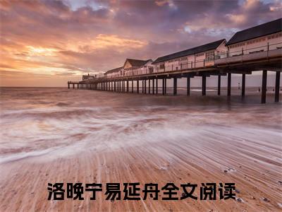 洛晚宁易延舟离婚后她被前夫的兄弟缠上了免费小说 离婚后她被前夫的兄弟缠上了全文无弹窗完整版阅读