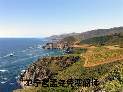 卫宁茗孟尧热荐免费新书全文完整版-卫宁茗孟尧无弹窗大结局阅读