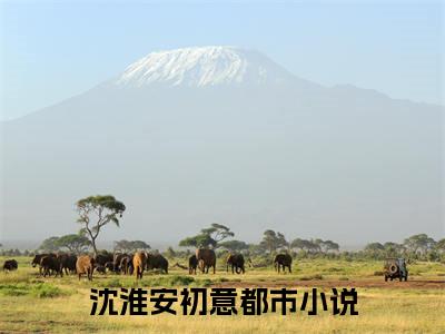 沈淮安初意无广告小说-沈淮安初意全文完整版