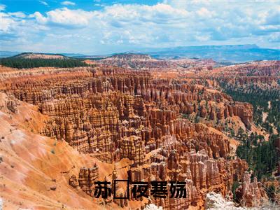 我死之后，新帝一夜白头小说（苏婳夜寒殇）全文免费读无弹窗大结局_我死之后，新帝一夜白头小说免费阅读-笔趣阁（苏婳夜寒殇）