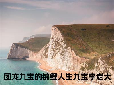 （团宠九宝的锦鲤人生）是什么小说-九宝李老太（团宠九宝的锦鲤人生）免费阅读大结局最新章节列表_笔趣阁