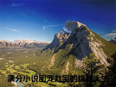 李老太九宝（团宠九宝的锦鲤人生）全文免费阅读无弹窗大结局_团宠九宝的锦鲤人生最新章节列表_笔趣阁（李老太九宝）