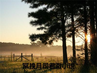 常挽月司君澈多人追热门小说 常挽月司君澈最新章节免费阅读