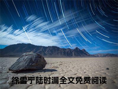 人气小说徐雪宁陆时渊在线阅读-正版小说《徐雪宁陆时渊》徐雪宁陆时渊全文阅读