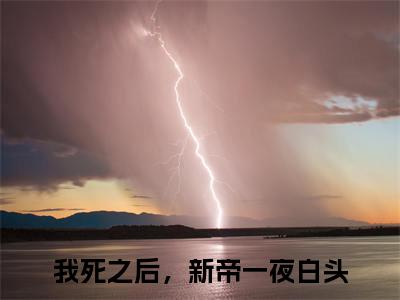 苏婳夜寒殇小说全文免费阅读（我死之后，新帝一夜白头）全文免费阅读无弹窗大结局_（苏婳夜寒殇）我死之后，新帝一夜白头结局最新章节列表_笔趣阁（我死之后，新帝一夜白头）