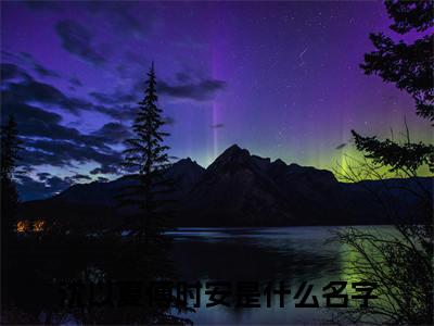 沈以夏傅时安小说（沈以夏傅时安）无弹窗大结局- 沈以夏傅时安全文阅读