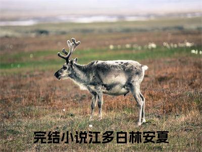 江多白林安夏小说全文免费阅读无弹窗,江多白林安夏在线阅读无弹窗