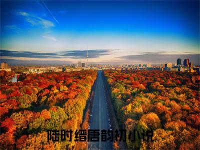 陆时缙唐韵初（陆时缙唐韵初）全文免费阅读无弹窗大结局_(陆时缙唐韵初免费阅读)陆时缙唐韵初无弹窗最新章节列表_笔趣阁（陆时缙唐韵初）