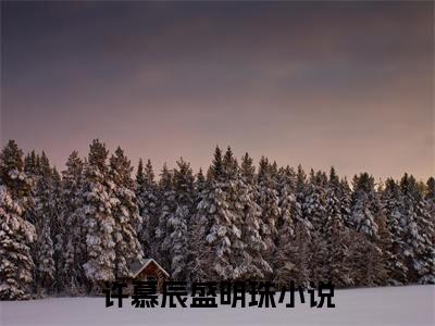 许慕辰盛明珠（许慕辰盛明珠小说）全文免费阅读无弹窗大结局_(许慕辰盛明珠小说)许慕辰盛明珠最新章节列表_笔趣阁（许慕辰盛明珠）