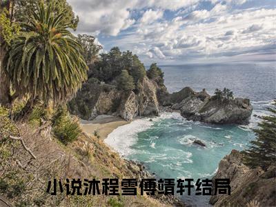 沐程雪傅靖轩免费正版小说完整版阅读-沐程雪傅靖轩最新章节在线阅读