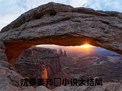 【新书】《沈晏姜知玥》沈晏姜知玥全文全章节免费阅读