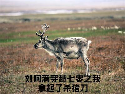 穿越七零之我拿起了杀猪刀抖音新书热荐刘阿满-最新小说刘阿满全文阅读