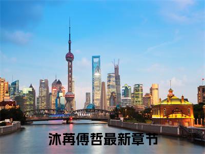 沐苒傅哲小说全文免费阅读 沐苒傅哲小说全文在线赏析_笔趣阁
