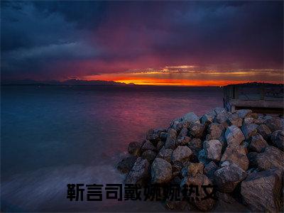 靳言司戴婉婉全本免费阅读 靳言司戴婉婉全集目录在线阅读