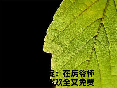 时玖玖厉寒景(重生团宠：在厉爷怀里肆意撒欢)全文免费阅读_时玖玖厉寒景(重生团宠：在厉爷怀里肆意撒欢)章节免费阅读-笔趣阁
