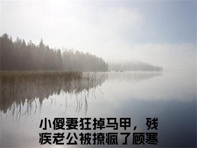 顾寒叙许悠悠（小傻妻狂掉马甲，残疾老公被撩疯了）热门免费小说-小傻妻狂掉马甲，残疾老公被撩疯了（顾寒叙许悠悠）精彩小说全文赏析