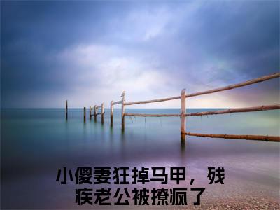 许悠悠顾寒叙（小傻妻狂掉马甲，残疾老公被撩疯了）小说最后结局-（小傻妻狂掉马甲，残疾老公被撩疯了）完结版免费阅读