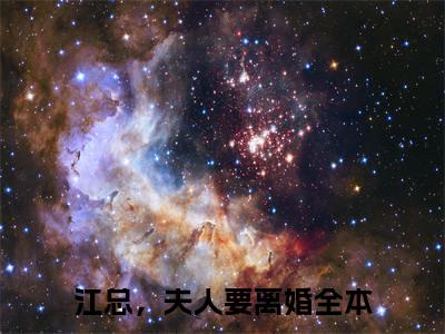 江总，夫人要离婚（乔宁江辰禹）无弹窗小说免费阅读_江总，夫人要离婚最新章节免费阅读_笔趣阁