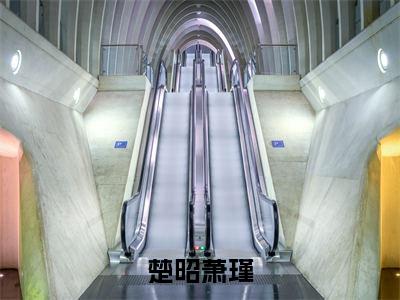 楚昭萧瑾言情小说免费观看-小说(楚昭萧瑾)最新章节阅读