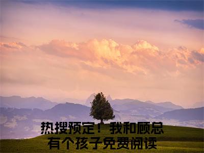 夏亦初顾珩（热搜预定！我和顾总有个孩子）免费小说-主角热搜预定！我和顾总有个孩子全文在线完本阅读笔趣阁